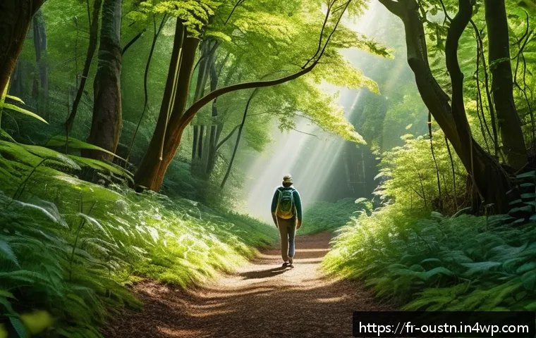 정신적 편안함을 위한 지속 가능한 영감 - A serene forest scene depicting a person practicing mindful walking along a soft, leaf-covered path ...